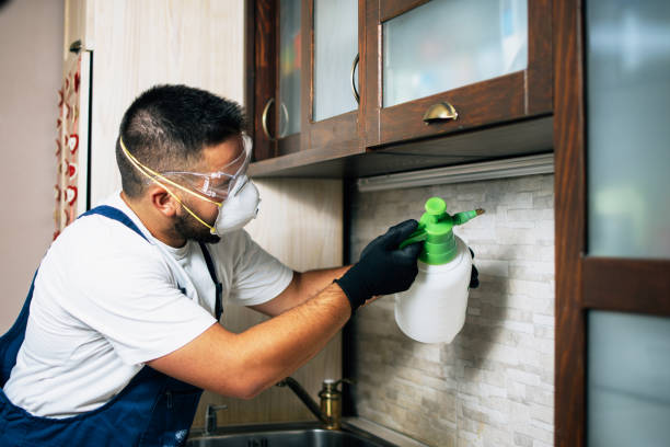 Best Pest Control Near Me  in New Port Richey, FL