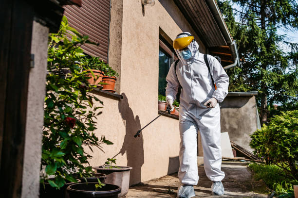 Best Mosquito Control Services  in New Port Richey, FL