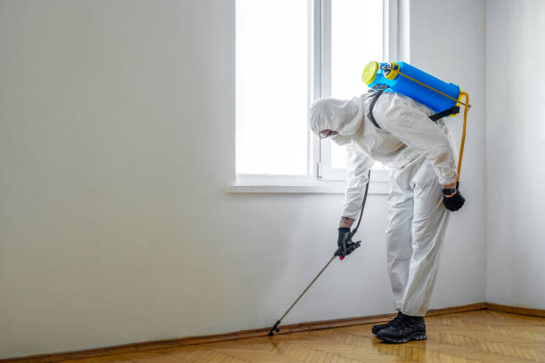Best Pest Prevention Services  in New Port Richey, FL