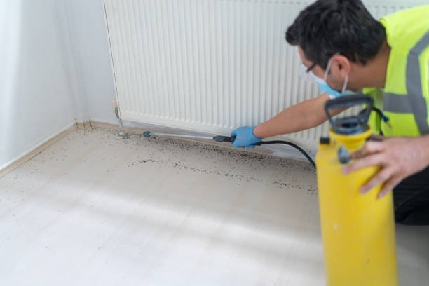 Best Emergency Pest Control  in New Port Richey, FL