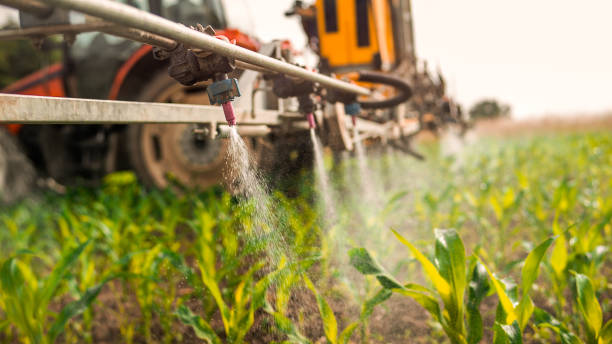 Best Commercial Pest Control Services  in New Port Richey, FL